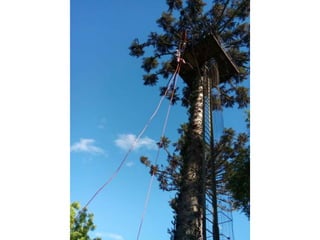 Viagem good fish 18 11