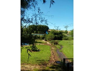 Viagem good fish 18 11