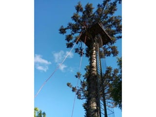 Viagem good fish 18 11