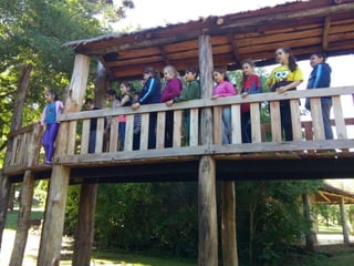 Viagem good fish 18 11