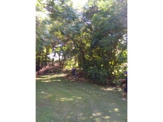 Viagem good fish 18 11