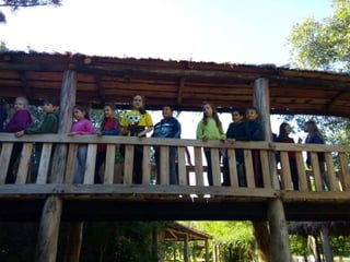 Viagem good fish 18 11