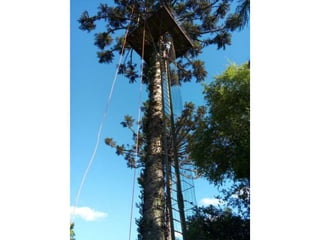 Viagem good fish 18 11