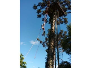 Viagem good fish 18 11