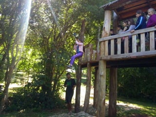 Viagem good fish 18 11