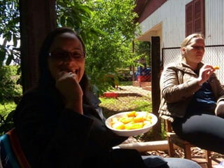 Viagem good fish 18 11