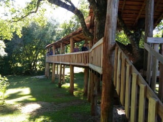 Viagem good fish 18 11