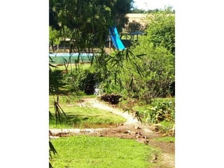 Viagem good fish 18 11