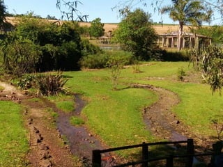 Viagem good fish 18 11