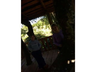 Viagem good fish 18 11