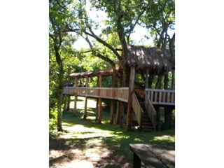 Viagem good fish 18 11