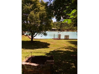 Viagem good fish 18 11