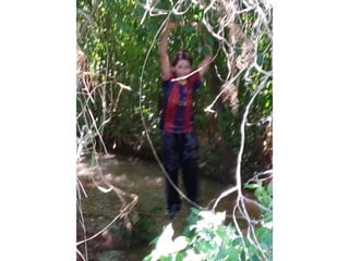 Viagem good fish 18 11