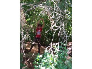 Viagem good fish 18 11