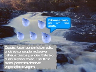 Depois, foram por um leito médio, onde se conseguiam observar  calhaus rolados grandes. Este é o curso superior do rio. Em último plano, podemos observar vegetação selvagem. Estamos a passar  por um vale aberto. 