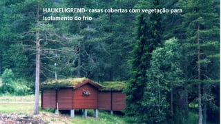 HAUKELIGREND- casas cobertas com vegetação para
isolamento do frio
 