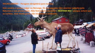HAUKELIGREND – Paragem obrigatória para turistas
Este cenário é pouco vulgar na Noruega. Os noruegueses têm enorme respeito pela
Natureza e sua preservação. Não fomentam o turismo – ACEITAM-NO – porque acham que
os turistas, dum modo geral, não respeitam o ambiente.
 