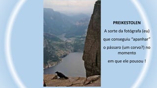 PREIKESTOLEN
A sorte da fotógrafa (eu)
que conseguiu “apanhar”
o pássaro (um corvo?) no
momento
em que ele pousou !
 