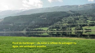 Fiord de Hardenger – de notar o reflexo da paisagem na
água, um verdadeiro espelho.
 