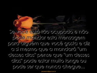Se você está tão ocupado e não pode mandar esta mensagem para alguém que você gosta e diz a si mesmo que a mandará "um desses dias" pense que "um desses dias" pode estar muito longe ou pode ser que nunca chegue... 