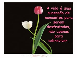 A vida é uma sucessão de momentos para serem desfrutados, não apenas para sobreviver. 