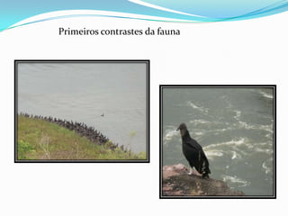 Etapas relacionadas ao andamento das obras para realização Foto Agosto de 2001Foto Novembro de 2001A Usina foi construída em tempo recorde 52 meses. 