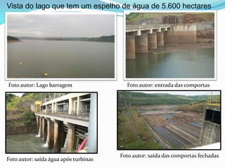 Primeiros contrastes da fauna