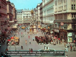 Rua Garben, charmosa e famosa  pelos cafés e lojas. É um lugar obrigatório para quem vem visitar Viena. 