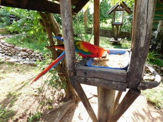 Viagem quinta da estância   1º dia