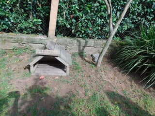 Viagem quinta da estância   1º dia