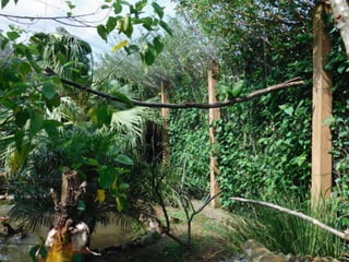 Viagem quinta da estância   1º dia