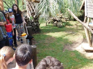 Viagem quinta da estância   1º dia