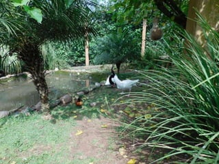 Viagem quinta da estância   1º dia