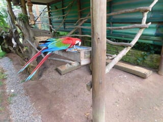 Viagem quinta da estância   1º dia