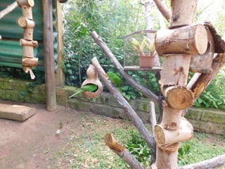 Viagem quinta da estância   1º dia