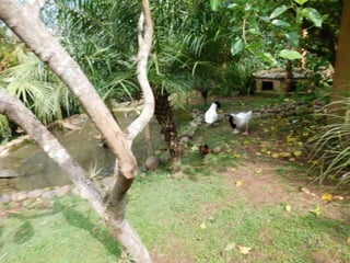 Viagem quinta da estância   1º dia