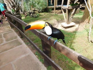 Viagem quinta da estância   1º dia