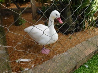Viagem quinta da estância   1º dia