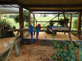 Viagem quinta da estância   1º dia