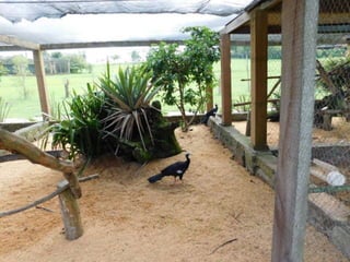 Viagem quinta da estância   1º dia