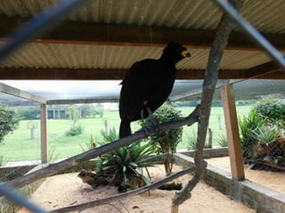 Viagem quinta da estância   1º dia