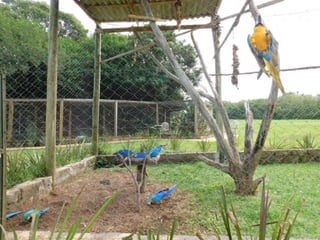 Viagem quinta da estância   1º dia