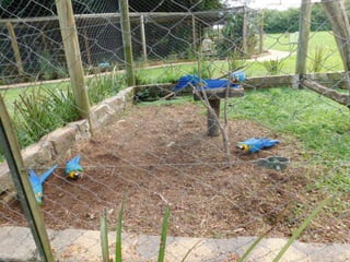 Viagem quinta da estância   1º dia