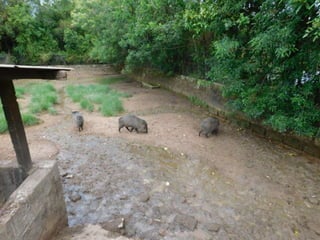 Viagem quinta da estância   1º dia