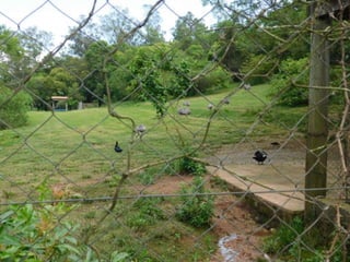 Viagem quinta da estância   1º dia