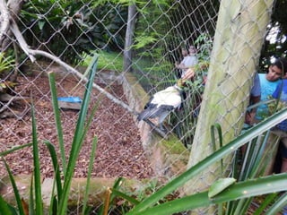 Viagem quinta da estância   1º dia