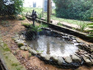 Viagem quinta da estância   1º dia