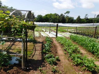 Viagem quinta da estância   1º dia