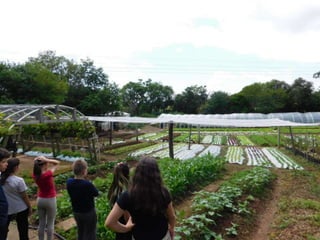 Viagem quinta da estância   1º dia