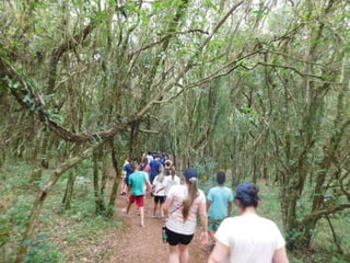 Viagem quinta da estância   1º dia